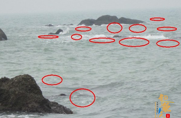 路亚底栖鱼的实用乘流过石钓法介绍