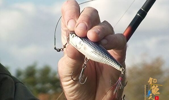 浅谈陌生水域下的路亚作钓技巧