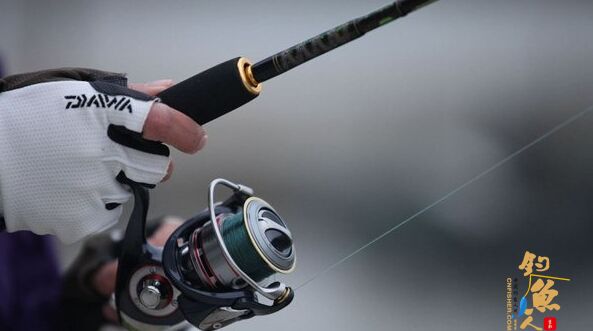 路亚轮转速比高、低的选用技巧