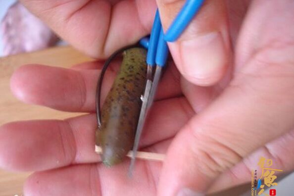 路亚软饵防止钩头滑落的小妙招