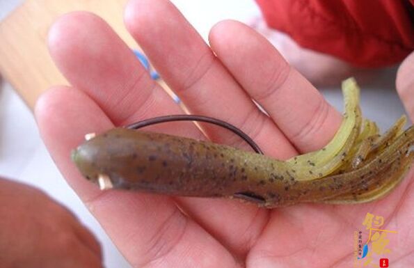 路亚软饵防止钩头滑落的小妙招