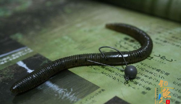 路亚海鲈鱼的拟饵介绍分析