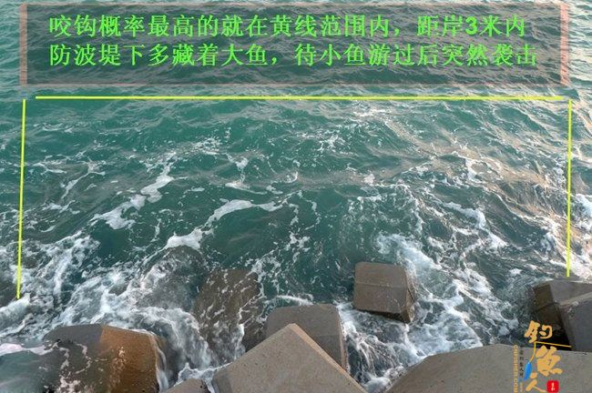 路亚海钓的防波缇标点选择技巧