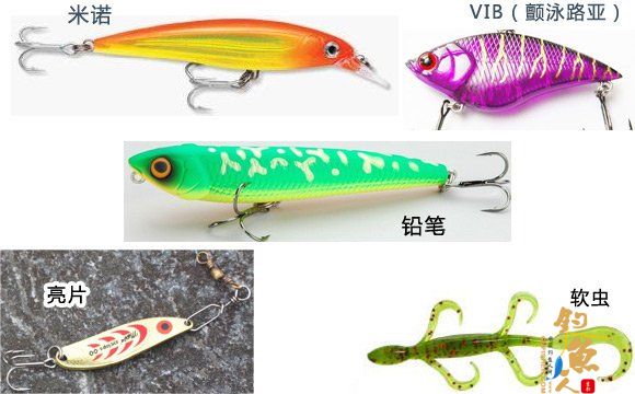 路亚海鲈的五个实用技巧详解