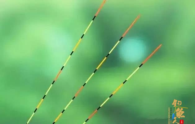 钓鱼调漂三大误区(找底不明、选漂要合适、半水调漂),你犯过吗?