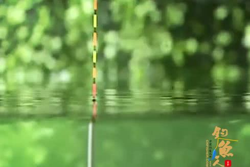 钓鱼调漂三大误区(找底不明、选漂要合适、半水调漂),你犯过吗?