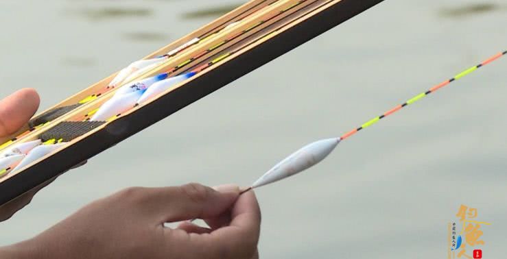钓鱼调漂三大误区(找底不明、选漂要合适、半水调漂),你犯过吗?