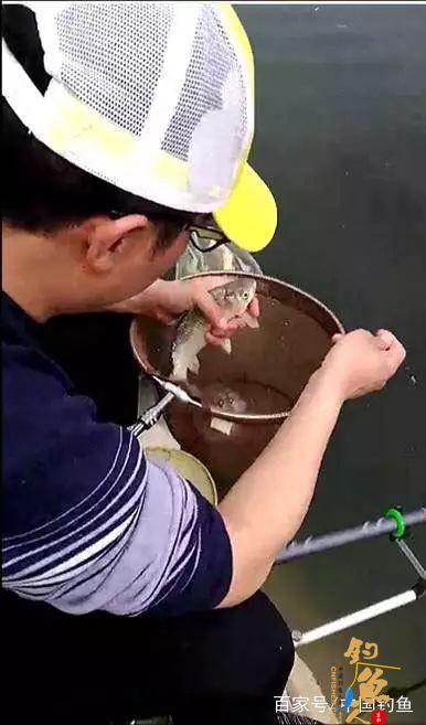 红安经济开发区第一届业余垂钓比赛圆满收竿