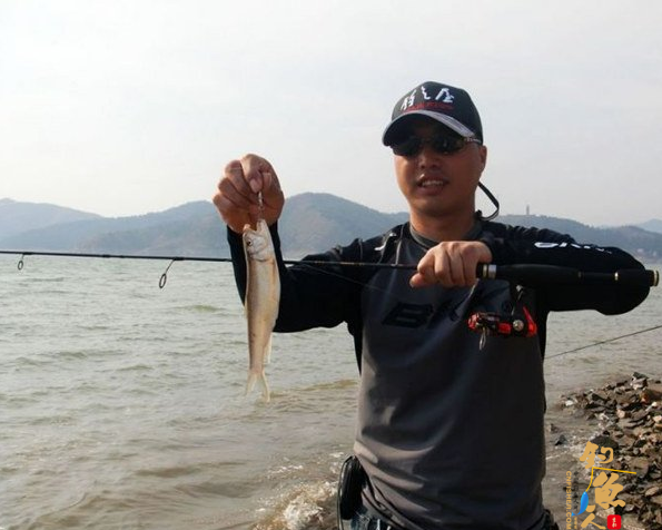 大型水库的马口鱼路亚标点选择