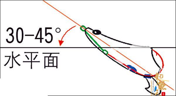 路亚黑鱼的装备、选点及雷蛙的操控技巧