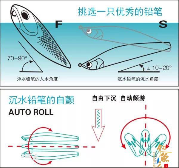 夏季路亚翘嘴攻略之铅笔拟饵的操作技巧