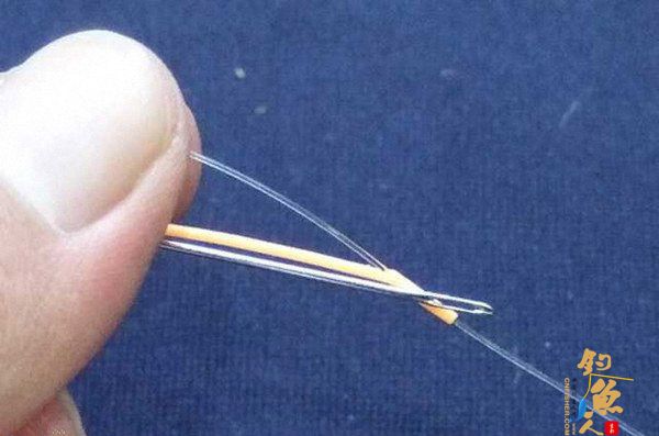 图解:飞蝇钓的主线与前导线连接法