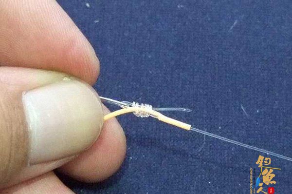 图解:飞蝇钓的主线与前导线连接法