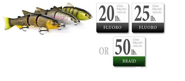 浅析路亚各钓组的用线指引