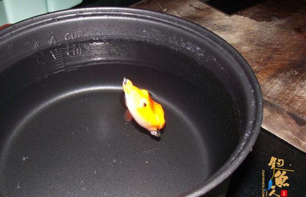 路亚diy雷蛙的入水角度改装方法