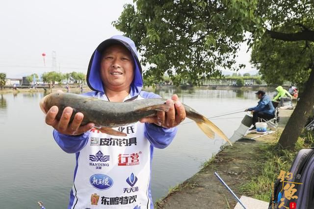 绍兴市全市钓鱼高手齐聚上虞，网红直播引万人“围观”