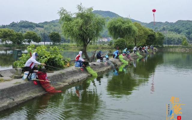 绍兴市全市钓鱼高手齐聚上虞，网红直播引万人“围观”