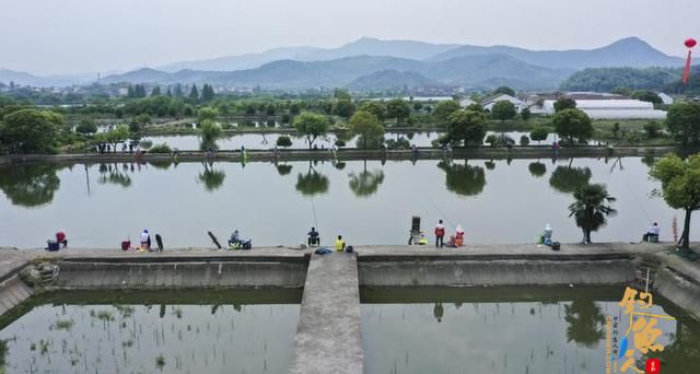 绍兴市全市钓鱼高手齐聚上虞，网红直播引万人“围观”