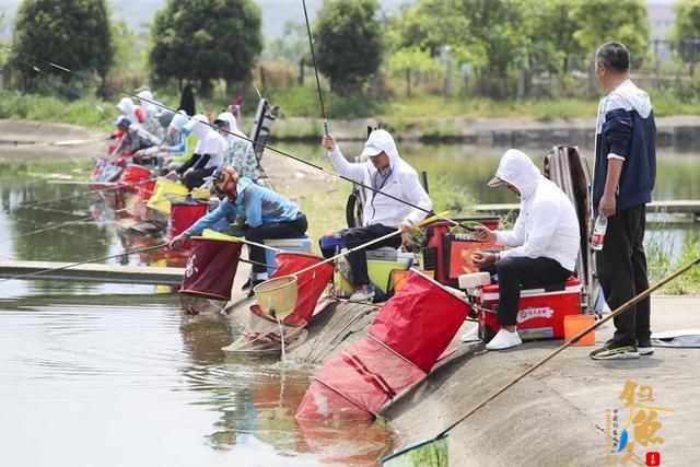绍兴市全市钓鱼高手齐聚上虞，网红直播引万人“围观”