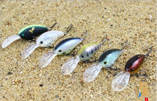 路亚中各类假饵的基本操作心得