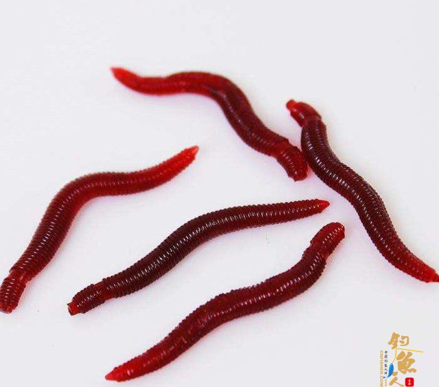 路亚软虫饵的选择与使用方法