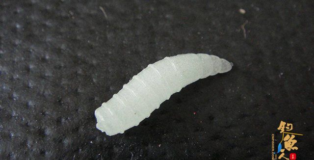 路亚软虫饵的选择与使用方法