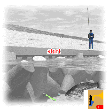 路亚新手教学动态图，够详细够全