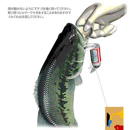 路亚新手教学动态图，够详细够全