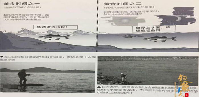 路亚钓鱼的黄金时间段
