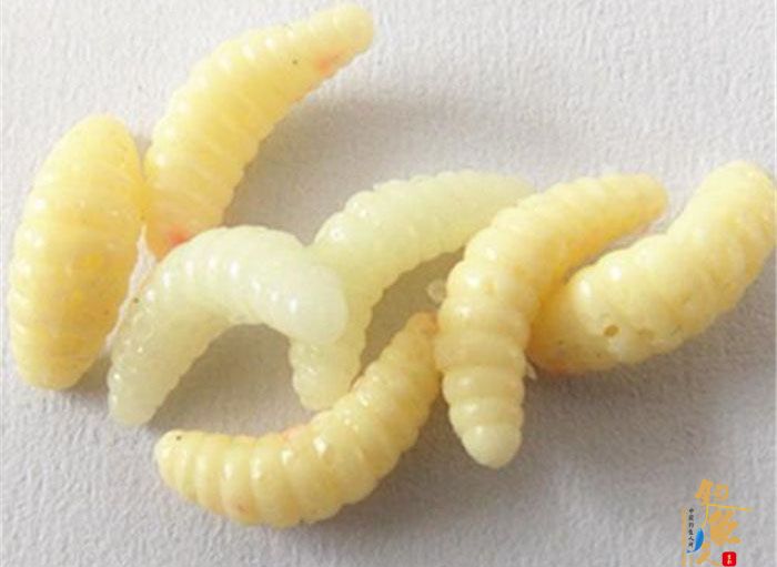 什么是路亚拟饵，今天就给新手玩家讲一讲