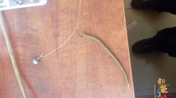 路亚黑鱼用什么饵最好？