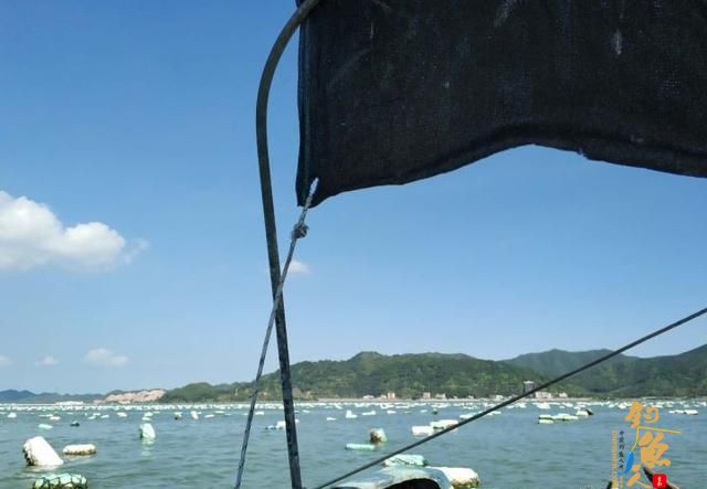 海钓如何选择钓位，原因分析与钓位推荐