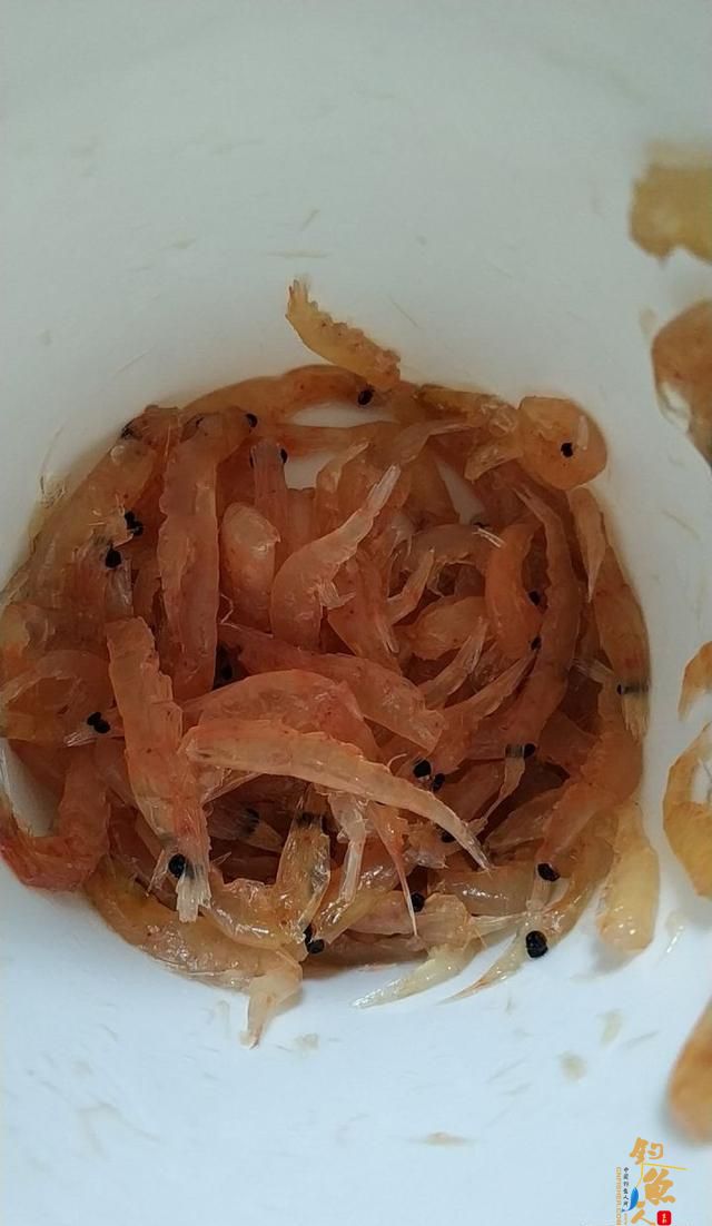 阿超海钓，影响鱼获的因素，鱼饵选择