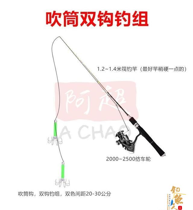 阿超海钓-吹筒及其钓法介绍
