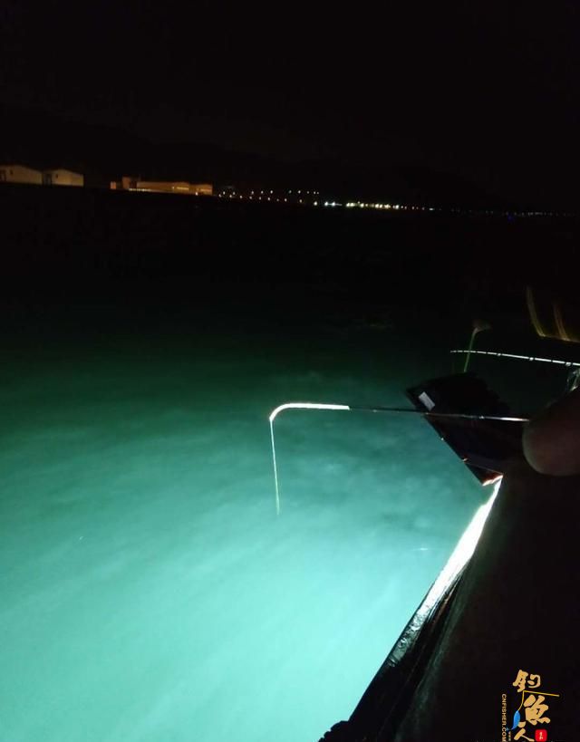 阿超海钓-吹筒及其钓法介绍