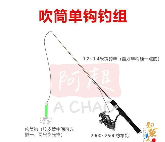 阿超海钓-吹筒及其钓法介绍