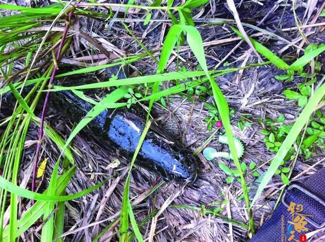 复合亮片介绍，一款四季通用的快速搜索反应饵