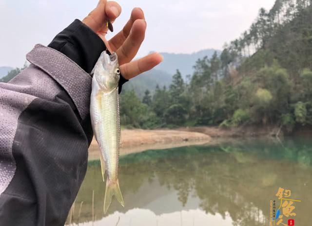 为什么路亚老是空军呢？一旦中鱼却很兴奋