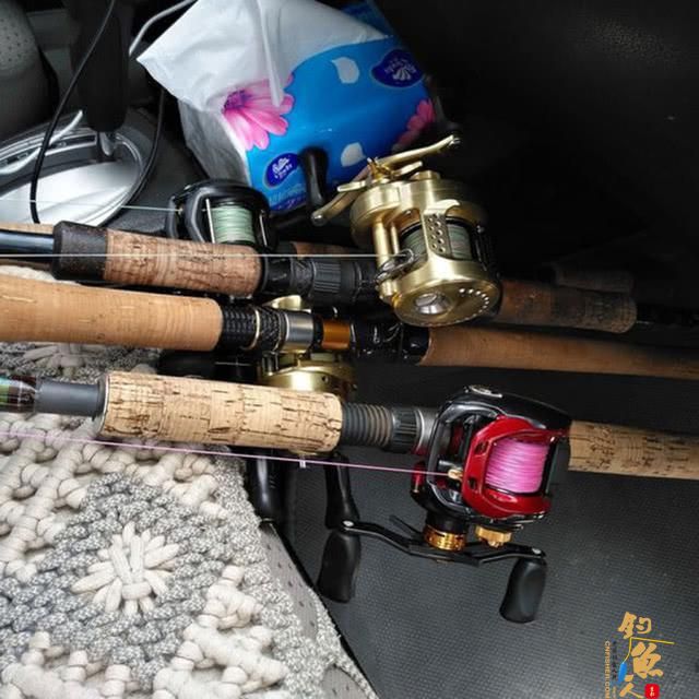 雷强钓法-粗竿、粗线配强力渔轮，中鱼后直接拉上岸