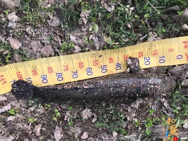 雷强钓法-粗竿、粗线配强力渔轮，中鱼后直接拉上岸