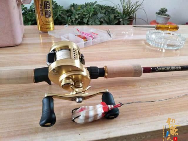 雷强钓法-粗竿、粗线配强力渔轮，中鱼后直接拉上岸