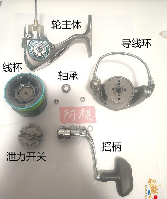 阿超海钓,矶钓纺车轮的选择与保养