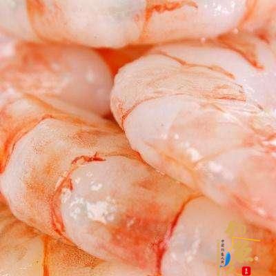 矶钓黑鲷，钓具，地点，钓饵等的简介