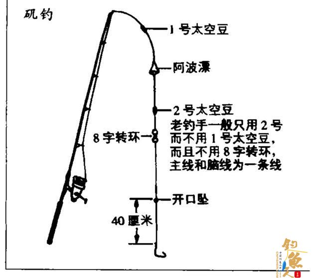 矶钓黑鲷，钓具，地点，钓饵等的简介