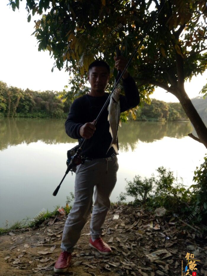 夕阳无限好 只是近黄昏-路亚心得体会，钓鱼日记