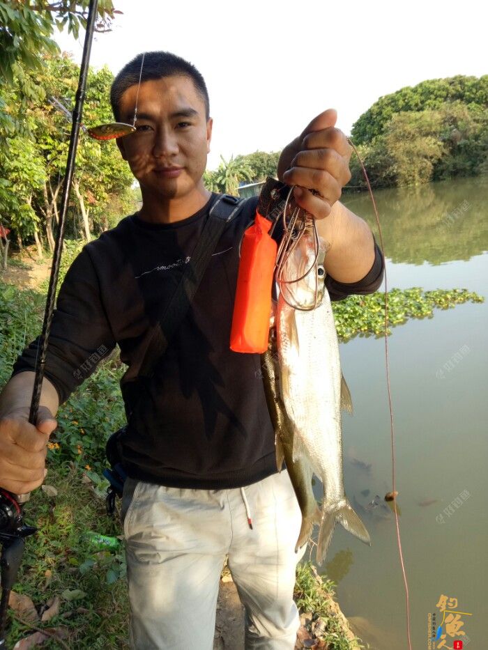 夕阳无限好 只是近黄昏-路亚心得体会，钓鱼日记