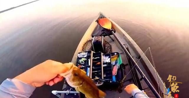 路亚鲈鱼，哪些标点能上鱼？