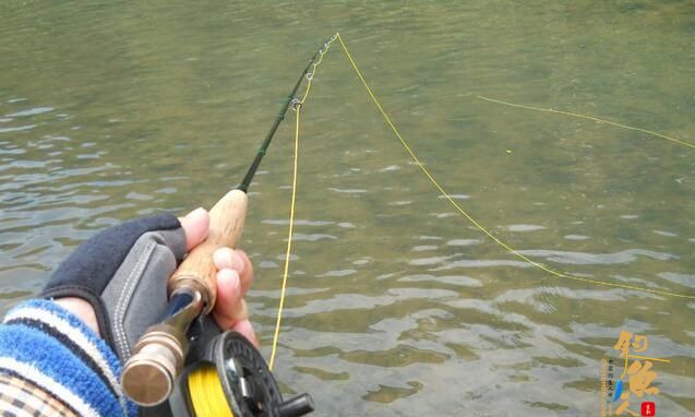 飞蝇钓怎么玩？好钓鱼来教你