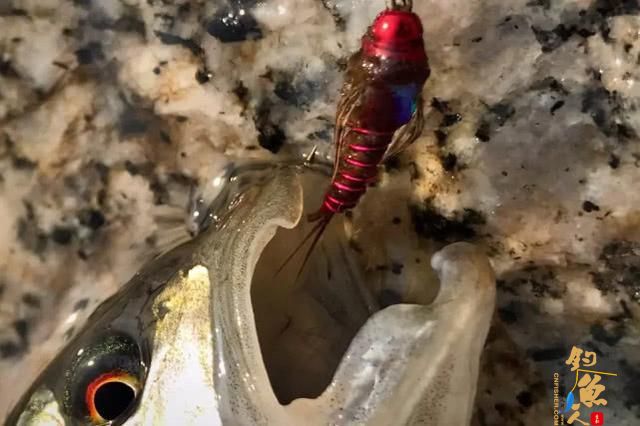 国外叫飞蝇我们叫毛钩，这钓鱼用具更像是一件艺术品