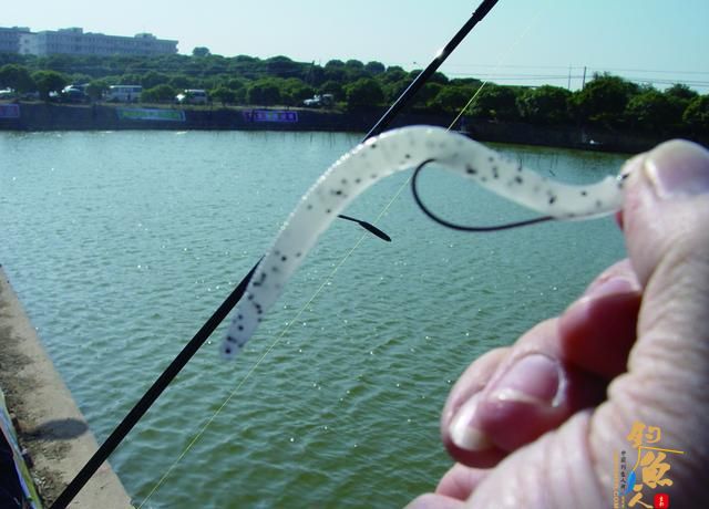 初冬路亚黑鲈，我要先看看这份指南，省得白去一趟